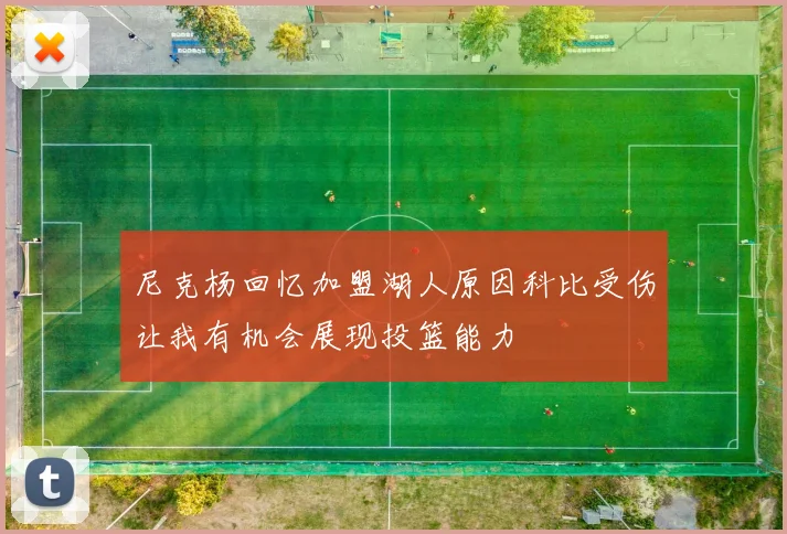 尼克杨回忆加盟湖人原因科比受伤让我有机会展现投篮能力