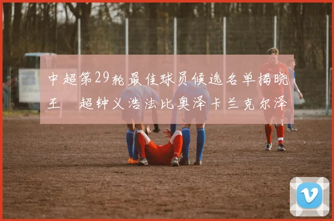 中超第29轮最佳球员候选名单揭晓王燊超钟义浩法比奥泽卡兰克尔泽齐聚争夺荣耀