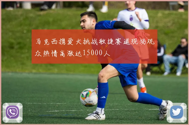 马克西携爱犬挑战敏捷赛道现场观众热情高涨达15000人