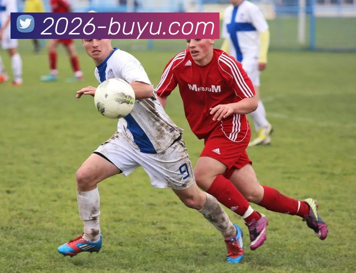 线上捕鱼平台服务体系