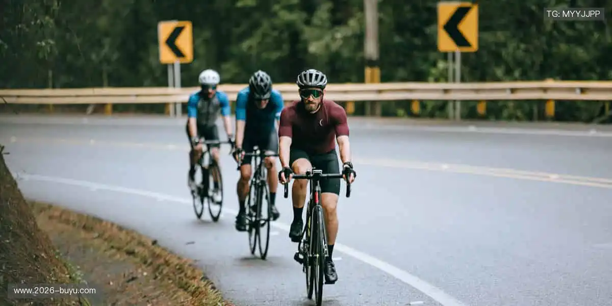 🎉 冠军之路，与你同在，